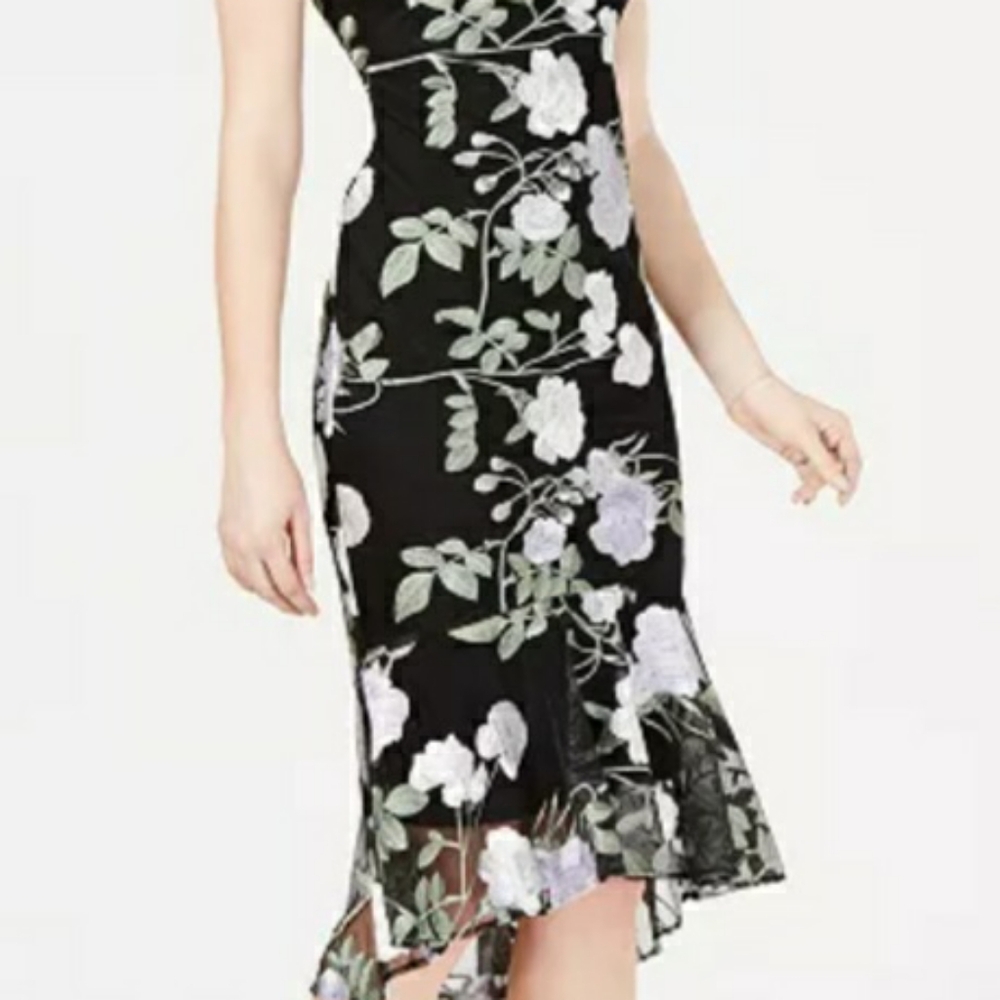 NWT Calvin Klein Embroidered Floral Flounce Dress Size 2P